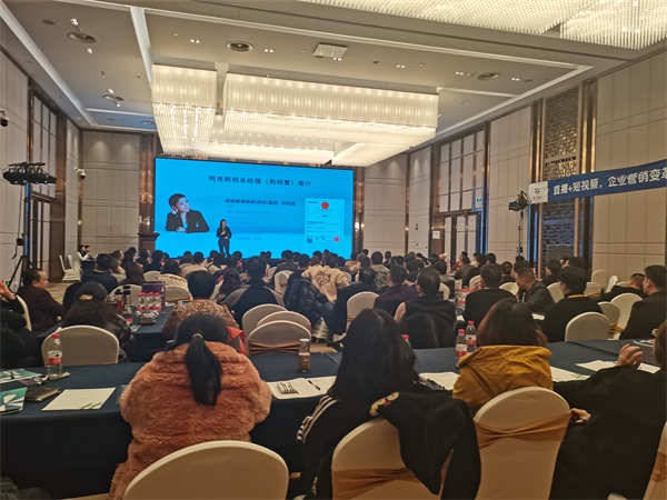 BSport体育官网照明总经理