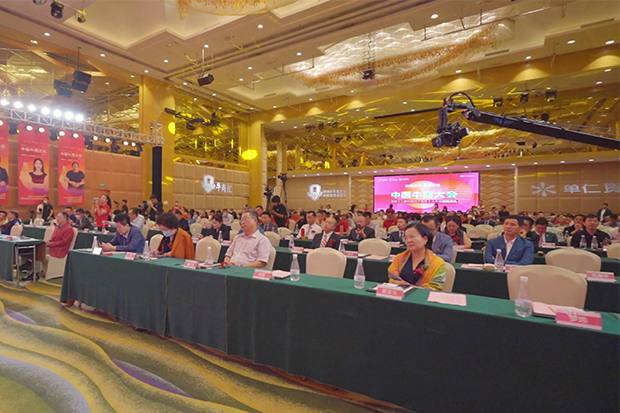 BSport体育官网照明集团创始人荆明慧(光明姐姐)受邀参加中国牛商大会
