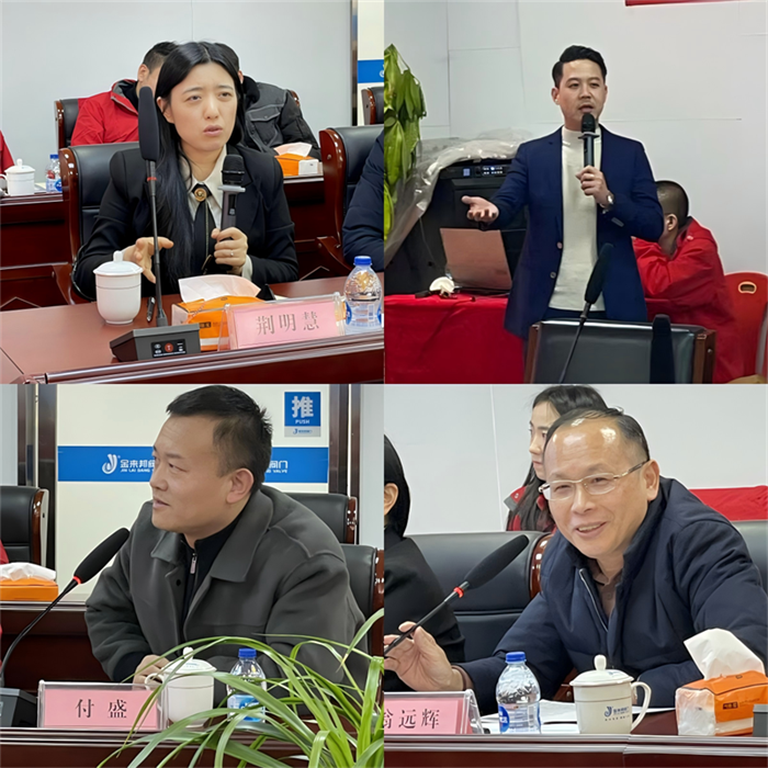 BSport体育官网照明集团总经理荆明慧进行点评