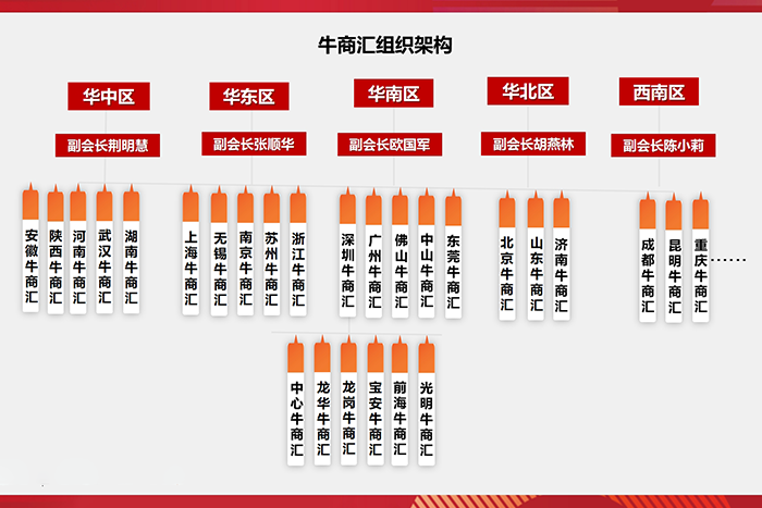 全国牛商汇组织架构